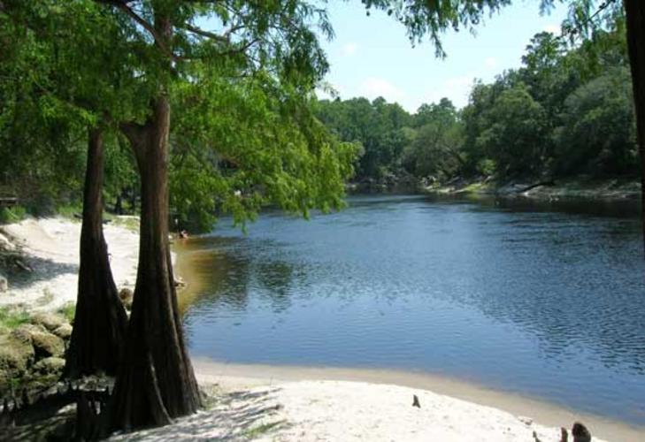 "SUWANNEE RIVER CANOE RENTAL" The Official